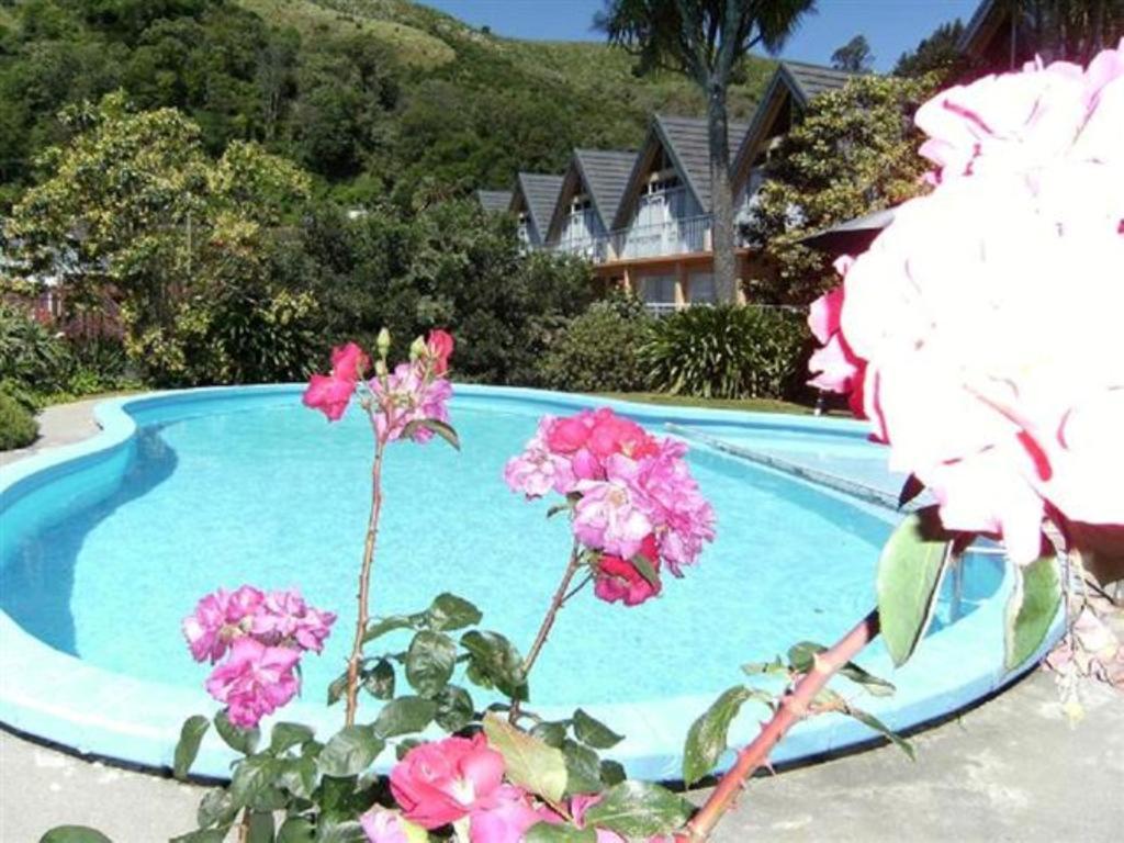Milton Chalet Motel Nelson Bagian luar foto