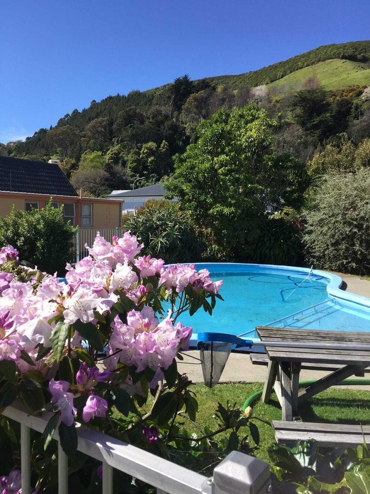 Milton Chalet Motel Nelson Bagian luar foto